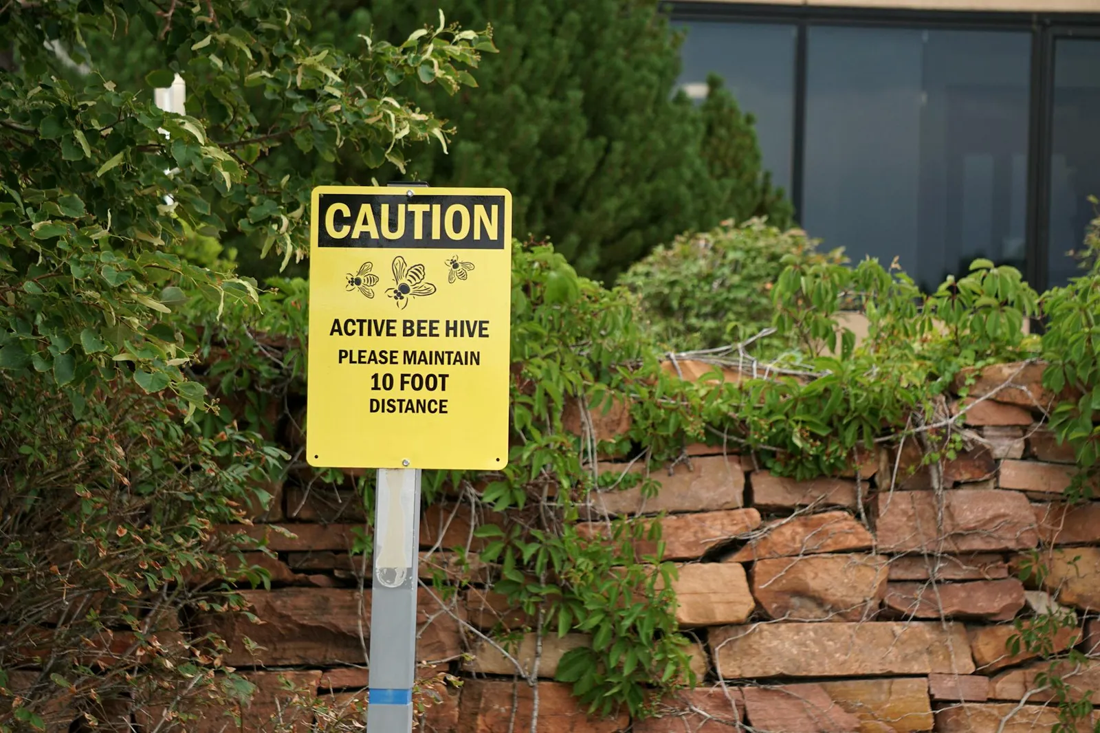 Subtle caution marker on a business document